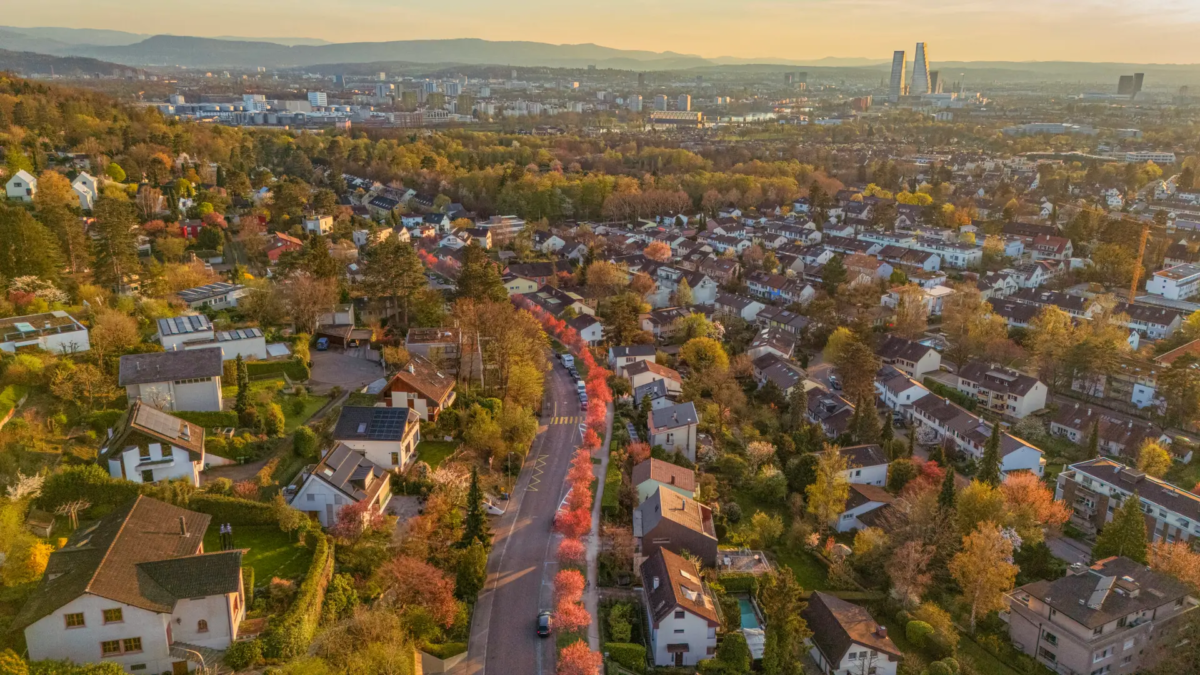 Landscape photography showing a blooming tree-lined avenue in Basel, viewed from a drone at sunset, blending spring colors with urban design.