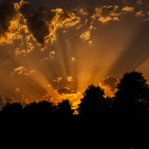 Alan Phlip Muller - Fine Art photography - Fine-Art-Fotografie - Dramatic sunset sky with sunbeams piercing through clouds and silhouetted trees