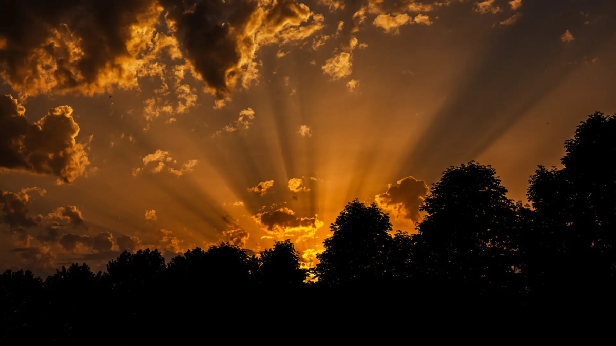 Alan Phlip Muller - Fine Art photography - Fine-Art-Fotografie - Dramatic sunset sky with sunbeams piercing through clouds and silhouetted trees