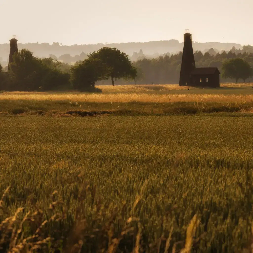 Landscape photography taken near the Riburg saltworks in Switzerland, showing a tranquil rural scene at dusk with golden fields, scattered trees, and two dark wooden towers silhouetted against the soft evening haze.