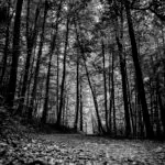 In the Shape of Protection